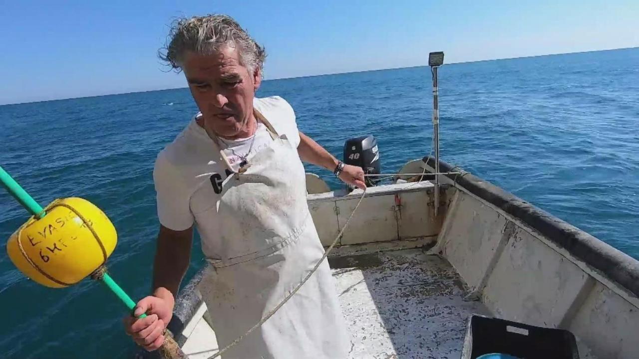 Dimore Di Portadibasso Peschici Esterno foto